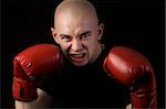 Portrait of the boxer on a black background.