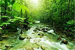 Tropical mountain stream with sunbeam in a morning.