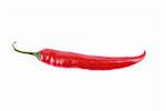 red hot chili pepper isolated on white