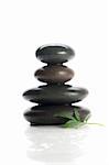 Isolated massage stones with green tree leaf