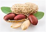 Peanut with pods and leaves on a white background.