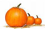 Pumpkins with straw on white background