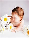 Baby with camomiles, on a gray background