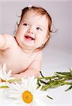 Laughing baby with camomiles, on a grey background