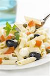 fresh macaroni mozzarella olives capers tomatoes salad isolated