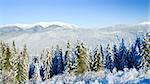 winter calm mountain landscape (view from Bukovel ski resort (Ukraine) to Svydovets ridge)