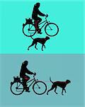 Women on bicycle with dogs on leash