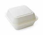 Isolated image of disposable take out container