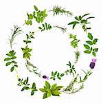 Medicinal and culinary herbs in a circular design, over white background.