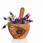 Lavender herb flowers in an olive wood mortar with pestle, over white background.