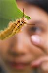 A female student (blur) watching a caterpillar walking along the stick, PS : blur movement of the caterpillar and shallow depth of field