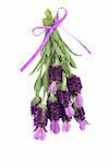 Lavender herb flowers and leaf sprigs tied with a lilac ribbon, over white background.