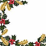 Holly leaf sprigs with red berries and gilded oak leaves forming an abstract border over white background.