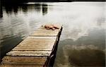 Forgotten toy on a wooden mooring