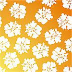 A repeating wallpaper pattern - orange hibiscus.