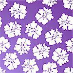 A repeating wallpaper pattern - purple hibiscus.