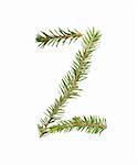 Spruce twigs forming the letter 'Z' isolated on white