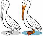 Cartoon image of a pelican - both color and black / white versions.