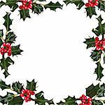 Holly leaf sprigs with red berries forming an abstract border over white background.