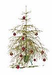 Half dead christmas tree isolated on a white background