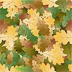 Autumn colorful Oak leafs texture - seamless pattern