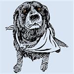 Labrador - cocker spaniel mix dog with scarf in a hand drawn pen and ink style.