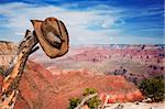 Cowboy hat hung on dead branch near the Grand Canyon