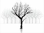 abstract background with dry tree silhouette, vector illustration