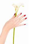 Closeup image of beautiful nails and fingers with flower over isolated white