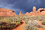 Desert after the Storm, Arches National Park, Utah, USA