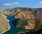 Landscape Photo : Beautiful view over the Port Wine vineyards in the Douro Region, by the river, in Portugal on Fall / Autumn.