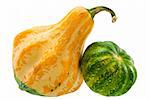 yellow and green decorative squashes isolated on white background