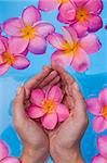 Womans hands cupping a pink frangipani flower in a blue pool