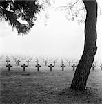graveyard with rows of crosses and trees in the autumn mist monochrome film grain