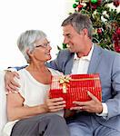 Senior man giving a Christmas present to his wife at home