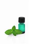 Peppermint herb leaf sprig with a green aromatherapy essence bottle, over white background.