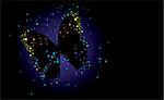 Butterfly on a black background , vector