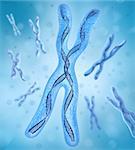 Chromosome x, DNA Strands 3D image