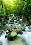 Tropical moutain stream with sunbeam in a morning.