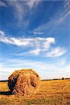 Straw bale on the field