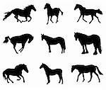 collection of horse silhouettes