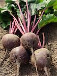 some beetroots with tops on the ground