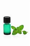Peppermint herb leaf sprig and aromatherapy green glass essential oil bottle, over white background.