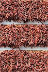 Rows of dried red hot chili pepper as a decor on the white wall background