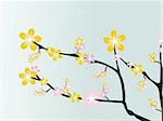 lovely spring blossom branch with background