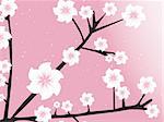 pink dots background with spring bloom tree branch