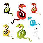 color snake hand drawing vector