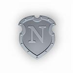 metal shield with letter N on white background - 3d illustration