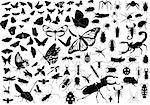 100 vector silhouettes of insects (butterflies, bugs, flies, bees ets.)
