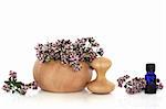 Marjoram herb flowers and leaves in a beech wood mortar with pestle and aromatherapy essential oil glass bottle, isolated over white background.